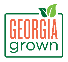 Olio di Vita Georgia Grown